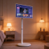 FVASEE: Why Retailers Are Adding StandBy Me TVs for Smart Store Displays (2026)