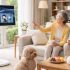 FVASEE StandBy Me TV for Airbnb Rentals | Smart Upgrade for Vacation Properties